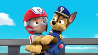 Paw Patrol  Ryder Rescue Animals  Bubble Mission [upl. by Ssidnak59]