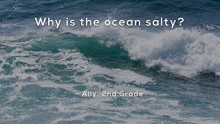 Why is the ocean salty [upl. by Len982]