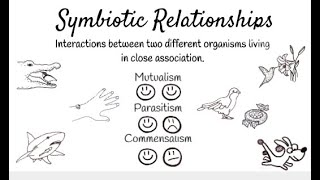 Symbiotic Relationships Short Simple Science [upl. by Sedinoel57]