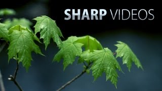 How to get sharp amp detailed videos DSLR video tutorial [upl. by Ylatan]