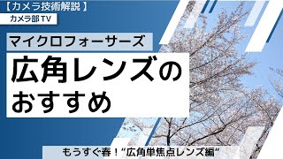 【カメラ技術解説】マイクロフォーサーズ「広角レンズのおすすめ」～もうすぐ春！”広角単焦点レンズ編”～ [upl. by Ahsinrat]