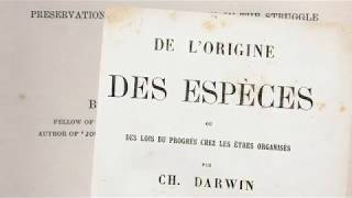 1859  Darwin et la théorie de lévolution [upl. by Esyla]