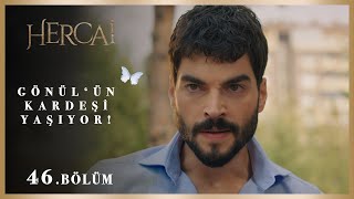 Fırat ve Miran sonuca yaklaşıyor mu  Hercai 46Bölüm [upl. by Conias]