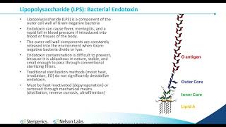 Bacterial Endotoxin Testing History InhibitionEnhancement and Process Control [upl. by Andris]