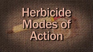 Herbicide Modes Of Action  Family Plot [upl. by Adaven]