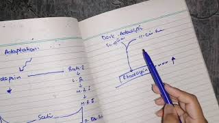 Light and dark adaptation graph very important guyton 51 part 5 [upl. by Goulder356]