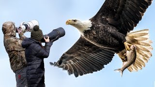 How to Photograph Flying Birds [upl. by Swigart]