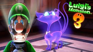 Floors 8 amp 7  POLTERKITTY Ghost Cat First Encounter  LUIGI´S MANSION 3 Guide [upl. by Hollie520]