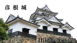 国宝彦根城 Hikone castle [upl. by Ardnuasac]