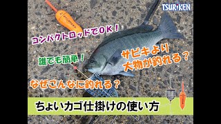 近くの堤防からコンパクトロッドで手軽にカゴ釣り！「ちょいカゴセット」 [upl. by Anniram]