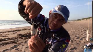 What is the Dingle Dangle method  ASFN Baits [upl. by Salman]