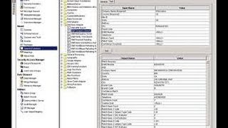 Informatica MDM Training  Informatica MDM Tutorial  Online Informatica MDM [upl. by Lewendal]