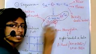 Peptide bond [upl. by Shelly]