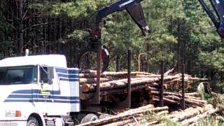 Logging Loading Pulpwood [upl. by Eislrahc]