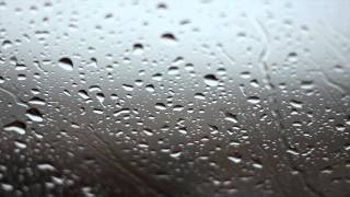 Rainy Day Background Video  No Sound [upl. by Lebisor]