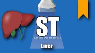 Liver Ultrasound Protocol [upl. by Bravin65]