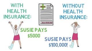 Health Insurance 101 The Basics Health Insurance 13 [upl. by Lilah]