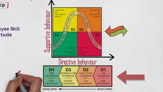 MBA 101 Leadership Situational Leadership Contingency Model [upl. by Aihsar]