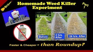 Homemade Weed Killer Experiment P1 [upl. by Arick]