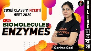 Enzymes  Biomolecules  Class 11 Biology Chapter 9  NEET 2020  NEET Biology  by Garima Goel [upl. by Gadmon]