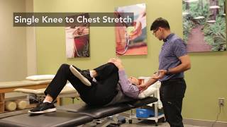 Wellstar OrthoSport How to Stretch for Sciatica Pain Relief [upl. by Mickelson]