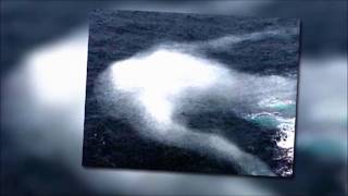 The NINGEN Giant humanoid creature Sighted in the Antarctic Ocean Real or fake [upl. by Nnylaehs742]