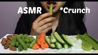 ASMR Extreme Satisfying Crunch EATING SOUND NO TALKING  SAS ASMR [upl. by Carper975]