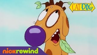 Dog Suffers from quotPecanitisquot  CatDog  Nicktoons [upl. by Cruickshank]