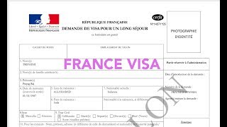 How to fill France Visa application [upl. by Nicoli202]