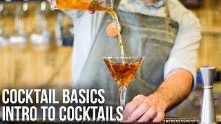 Introduction to Cocktails  Cocktail Basics [upl. by Mcloughlin]