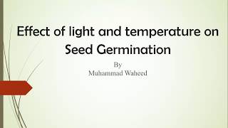 Effect of Light and Temperature on Seed Germination [upl. by Swigart949]