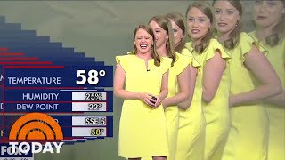 TV Meteorologist Gets Duplicated In Hilarious Green Screen Mishap [upl. by Eceinhoj]