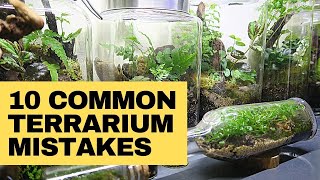 Closed terrarium mistakes and how to avoid them [upl. by Nathanael433]