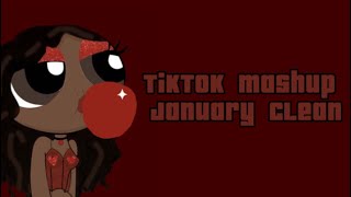 TIKTOK MASHUP JANUARY 2024 CLEAN [upl. by Bekelja]