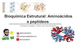 Bioquímica Básica  Aula 03 Aminoácidos e Peptídeos [upl. by Silrak488]