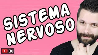 SISTEMA NERVOSO  FISIOLOGIA  Aula  Biologia com Samuel Cunha [upl. by Drandell768]