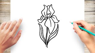 How To Draw Iris Flower Step by Step [upl. by Rdnaskela]