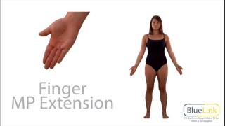 Finger Flexion Extension [upl. by Alyled361]