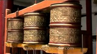 Buddhist prayer wheels spinning in Leh Ladakh [upl. by Jeavons683]