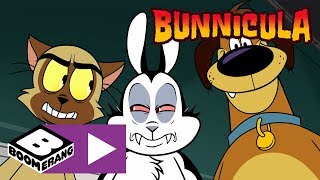 Bunnicula  Lucky Shot  Boomerang UK 🇬🇧 [upl. by Corly]