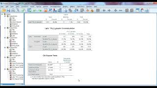 Kryžminės lentelės ir chi kvadrato testas SPSS [upl. by Anuahsal]