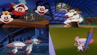 All Pinky and the Brain Intros 1993  2022 [upl. by Margarida396]