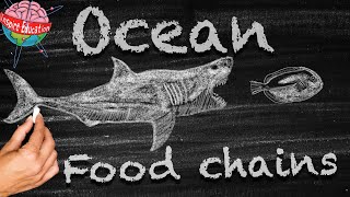 Ocean Food Chains [upl. by Lewison677]