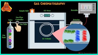 Gas Chromatography  GC Instrumentation  Gas Chromatography Animation  GC [upl. by Rhody620]