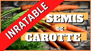 semis de carottes inratable [upl. by Htiderem]