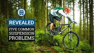 Five Common Suspension Problems amp How To Fix Them [upl. by Nathan]