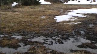 Randonnées dans les Pyrénées  Documentaire nature [upl. by Nyladnohr]