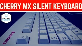 Cherry MX Silent Keyboard Review  Red 45cN Switches  G803000 [upl. by Panaggio]