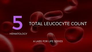 Total Leucocyte Count [upl. by Aime]