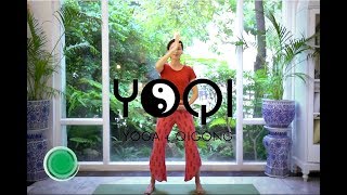 Qigong for Beginners [upl. by Eledoya]